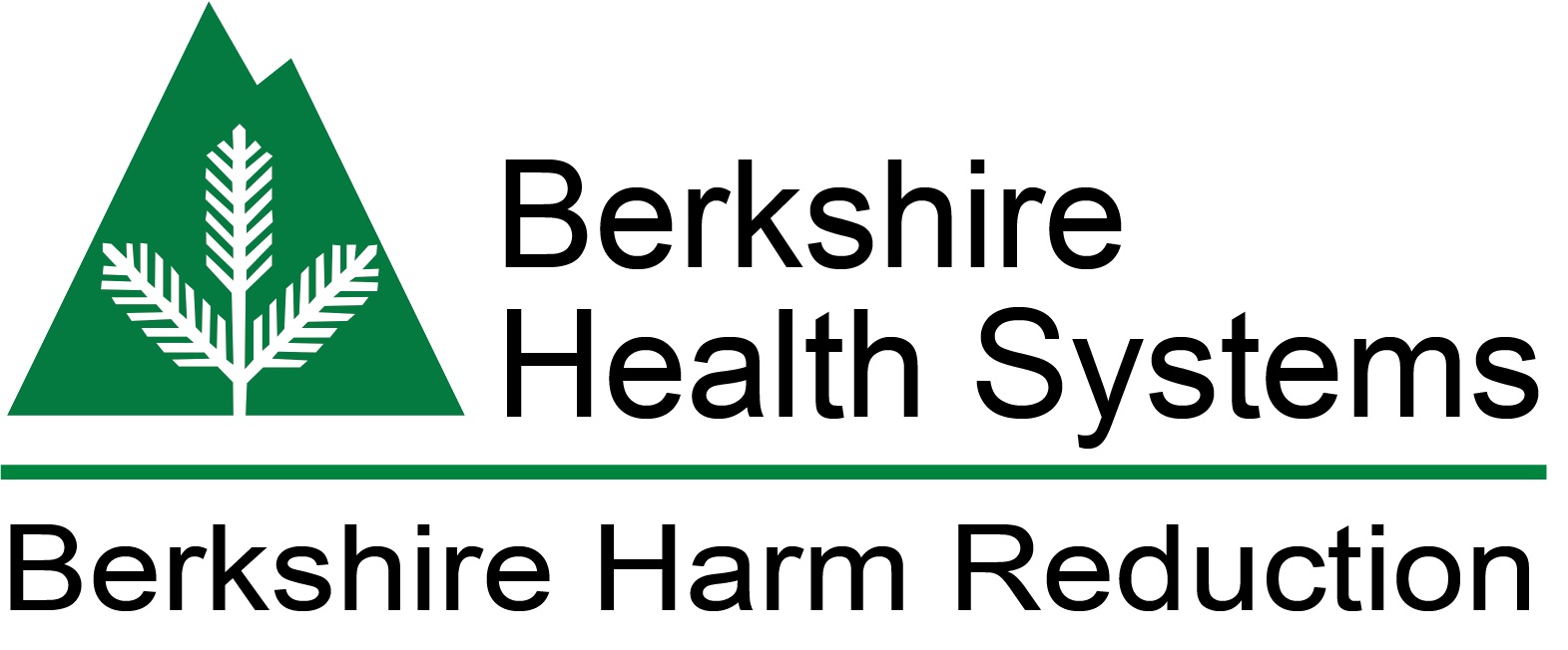 Bhs Berkshire Harm Reduction